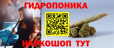 спайс Кандалакша
